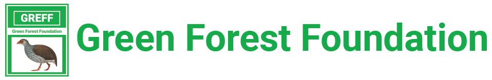 Green Forest Foundation